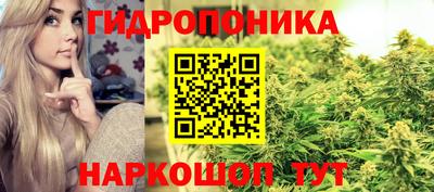 mdpv Новоалтайск