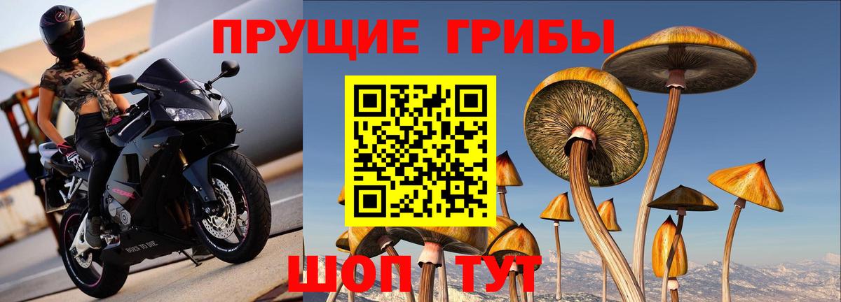 Воткинск  купить закладку  Вход с VPN  Галлюциногенные грибы MAGIC MUSHROOMS  Псилоцибиновые грибы прущие грибы 